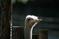 Zoo Straubing_037